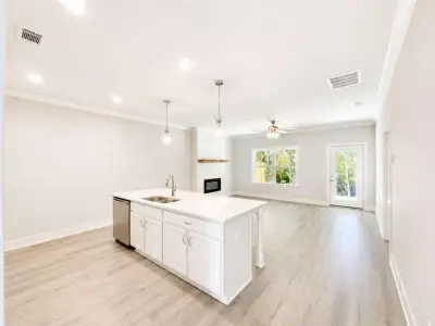 New construction Single-Family house 28 Village Ct, Cleveland, GA 30528 - image 3