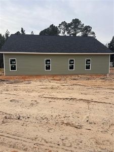New construction Single-Family house 131 Merle Rd Rd, Pinebluff, NC 28373 - image