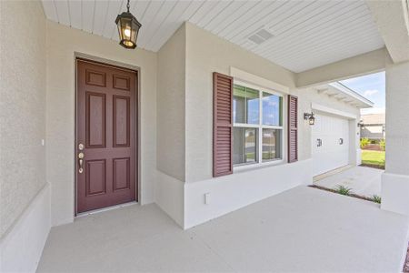 New construction Single-Family house 10693 Sw 102Nd Ln, Ocala, FL 34481 - image 4
