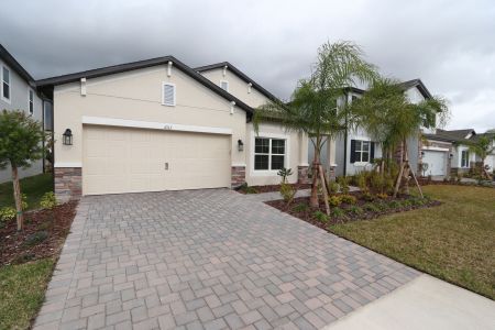 New construction Single-Family house 4763 Beachrose Way, Lakeland, FL 33811 Picasso- photo 45 45