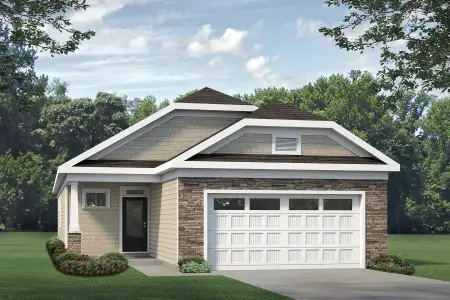 New construction Single-Family house 192 Village Walk Dr, Clayton, NC 27527 plan Elm - image