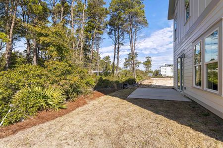 New construction Single-Family house 143 Walton Palm Rd, Inlet Beach, FL 32461 plan Pearl - image 3