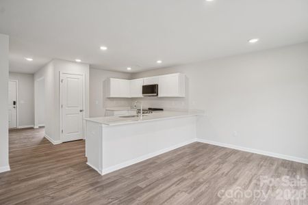 New construction Single-Family house 531 Tomlin Trl, Spartanburg, SC 29301 plan Gardner - image 7