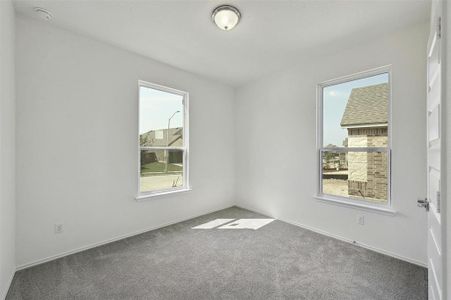 New construction Single-Family house 4740 Morese Palace Trl, Round Rock, TX 78665 null- photo 18 18