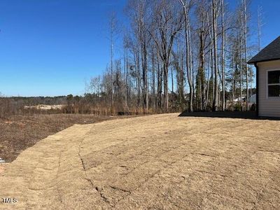 New construction Single-Family house 326 Little Creek Dr, Lillington, NC 27546 null- photo 3 3