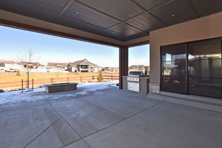 New construction Single-Family house 6432 Grand Tree Boulevard, Timnath, CO 80547 - photo 3 3