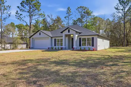 New construction Single-Family house 13418 Cormorant Rd, Weeki Wachee, FL 34614 - image