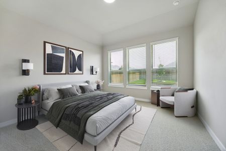 New construction Single-Family house 400 Watertown Dr, McKinney, TX 75071 plan Mesquite - Trees Series - image 13