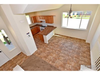 New construction Single-Family house 2303 Graceful St, Windsor, CO 80550 - photo 14 14