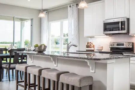 New construction Single-Family house 2578 White Ladyfish Rd, Wimauma, FL 33598 plan Panama - image 9