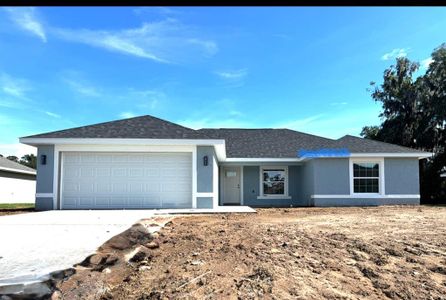 New construction Single-Family house 19 Nw 45Th Lp, Ocala, FL 34475 - image