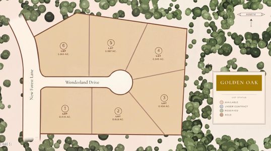 New construction Single-Family house 2308 Wonderland Dr, Wake Forest, NC 27587 - image 4