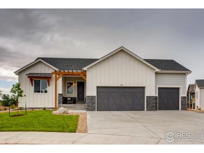 New construction Single-Family house 853 Canoe Birch Dr, Windsor, CO 80550 Plan Unknown- photo 0