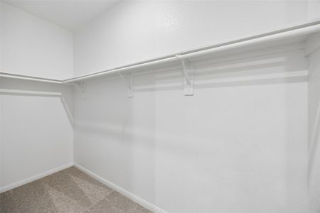 New construction Single-Family house 25260 Leather Leaf Ct, Montgomery, TX 77316 - image 9