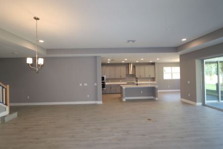 New construction Single-Family house 20243 Oriana Loop, Land O' Lakes, FL 34638 Corina  III Bonus- photo 102 102