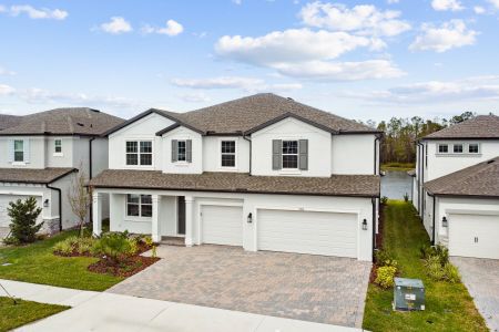 New construction Single-Family house 7819 Notched Pine Bnd, Wesley Chapel, FL 33545 Windsor- photo 78 78