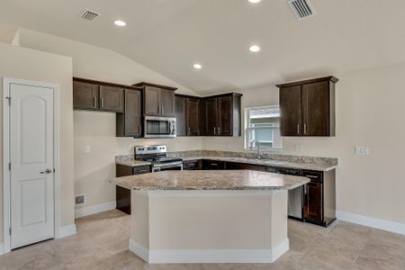 New construction Single-Family house 12917 Ogden Glade Rd, Dade City, FL 33525 null- photo 17 17