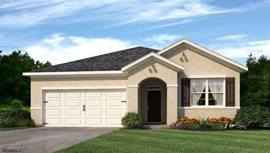 New construction Single-Family house 1431 Orchardgrass Circle, Parrish, FL 34219 - photo 0