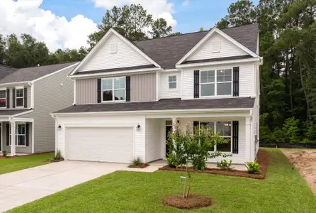 New construction Single-Family house 369 Blue Oak Dr, Moncks Corner, SC 29461 plan Davidson - image