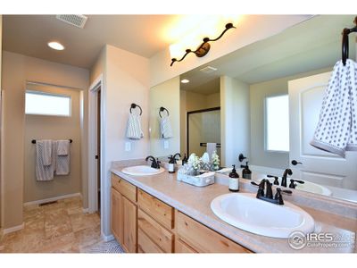 New construction Single-Family house 2482 Graceful St, Windsor, CO 80550 - photo 33 33