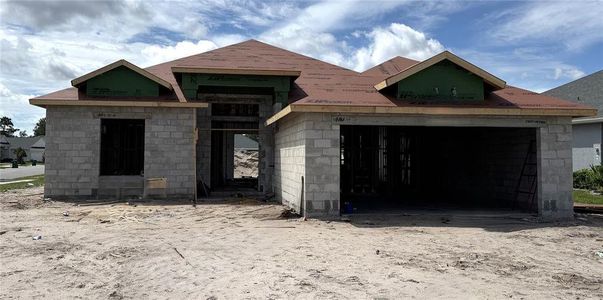 New construction Single-Family house 1022 Megano Blvd, Deland, FL 32724 - image