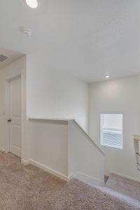 New construction Single-Family house 286 Chardon Ave, Brighton, CO 80601 null- photo 22 22