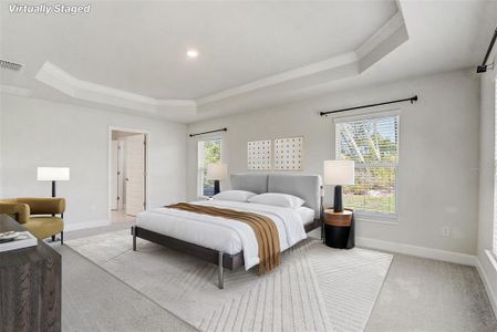 New construction Single-Family house 10715 Sw 41St Ave, Ocala, FL 34476 - image 8