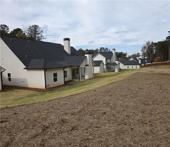 New construction Single-Family house 286 Meadows Dr, Bethlehem, GA 30620 - image 3