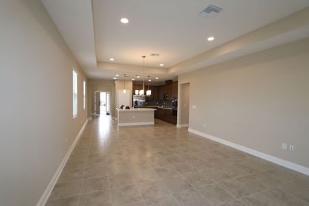 New construction Single-Family house 38357 Palomino Dr, Dade City, FL 33525 Picasso Bonus- photo 50 50