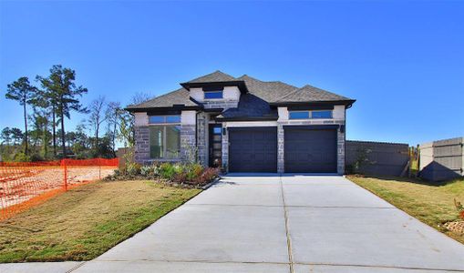 New construction Single-Family house 15803 Tamarin Tiger Ct, Grangerland, TX 77302 - photo 0