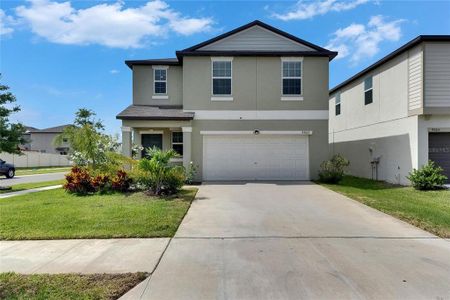 New construction Single-Family house 9907 Spanish Lime Ct, Riverview, FL 33578 null- photo 0