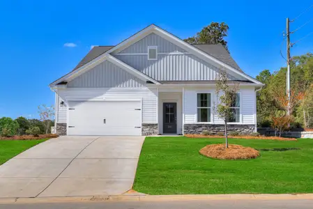 New construction Single-Family house 342 Chapin Place Wy, Chapin, SC 29036 plan The Jefferson - image