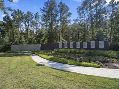 New construction Single-Family house 40423 Gerygone Ln, Magnolia, TX 77354 Darlington- photo 3 3