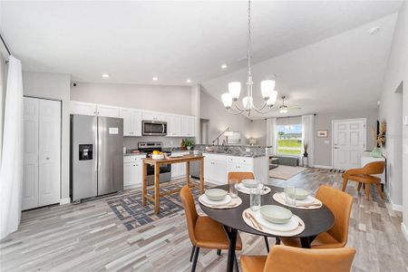 New construction Single-Family house 3103 Sw 130Th Ln, Ocala, FL 34473 - image 9