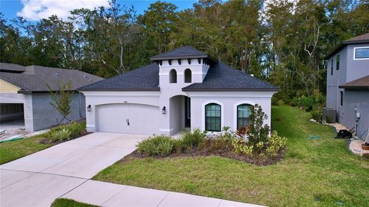 New construction Single-Family house 11389 Weaver Hollow Rd, New Port Richey, FL 34654 Salerno- photo 0