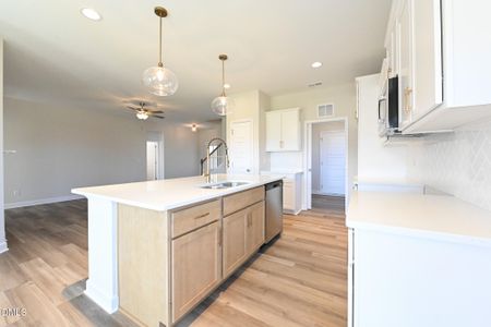 New construction Single-Family house 200 Hudson Village Dr, Unit (Lot 13), La Grange, NC 28551 - image 14