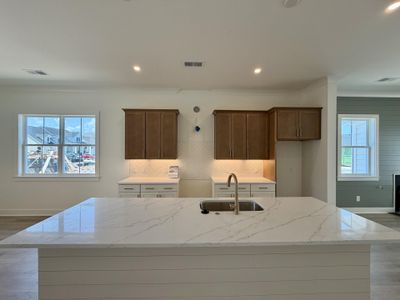 New construction Single-Family house 510 Ivy Green Ln, Summerville, SC 29486 - image