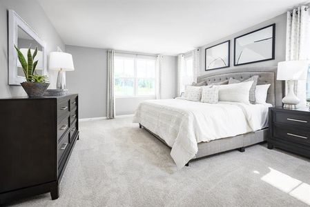 New construction Single-Family house 8 Buster Alice Wy, Piedmont, SC 29673 plan Torrey - image 6