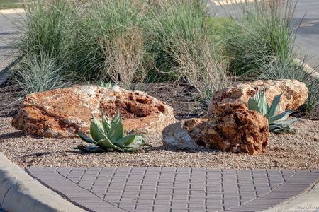 New construction Single-Family house 337 Vuelo St, New Braunfels, TX 78132 plan 3546W - image