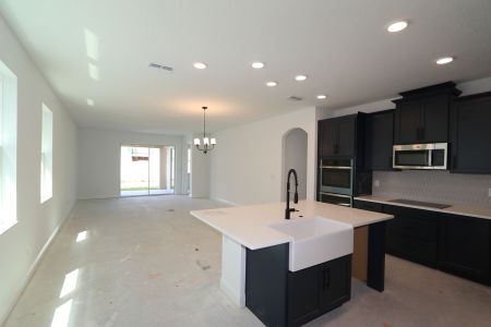 New construction Single-Family house 33227 Amling Pecan Br, Wesley Chapel, FL 33545 Newport II- photo 41 41