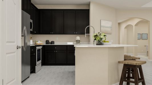 Princeton plan kitchen