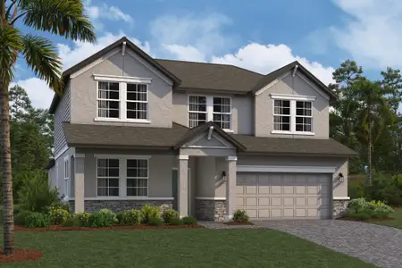 New construction Single-Family house Zephyrhills, FL 33540 plan Salinas - image