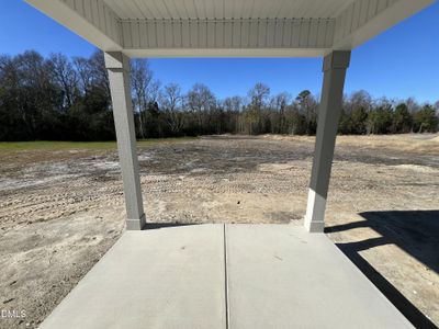 New construction Single-Family house 107 Sagewood Dr, Dudley, NC 28333 - image