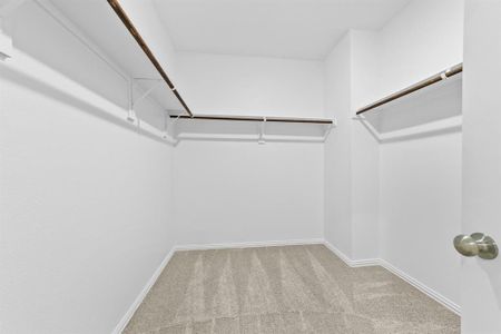 New construction Single-Family house 519 Forest Haven Dr, Van Alstyne, TX 75495 Knollwood DEF- photo 11 11