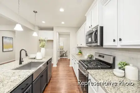 New construction Single-Family house 1216 Madingley Pl, Wendell, NC 27591 plan The Wakefield - image