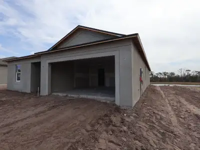 New construction Single-Family house 2954 Berry Coppice Pl, Wimauma, FL 33598 plan Maui - image