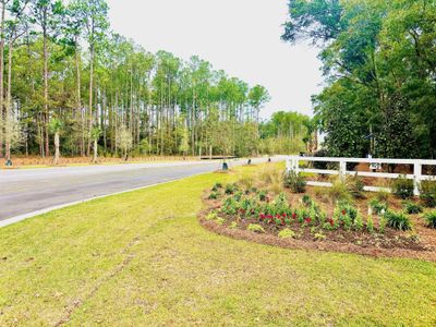 New construction Single-Family house 2148 Macallan Blvd, Ravenel, SC 29470 null- photo 10 10