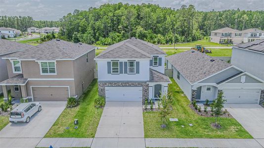 New construction Single-Family house 7061 Broad River Ave, Land O' Lakes, FL 34638 plan Elston II - image