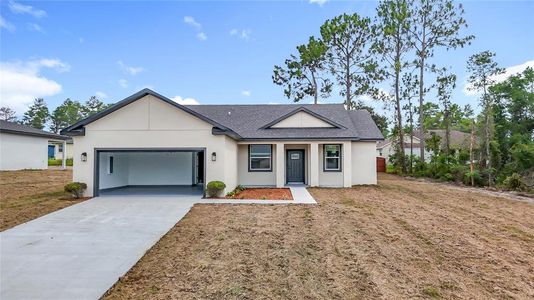 New construction Single-Family house 4416 Sw 150Th Pl, Ocala, FL 34473 - image