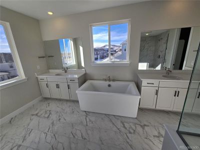 New construction Single-Family house 5722 Farrier Pt, Castle Rock, CO 80104 Vail- photo 11 11